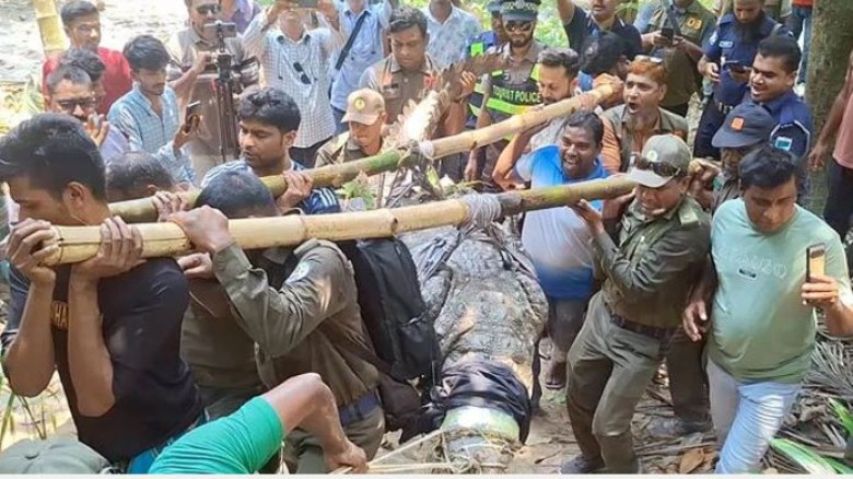 Last Crocodile Removed from Khan Jahan Ali Shrine Pond, The 