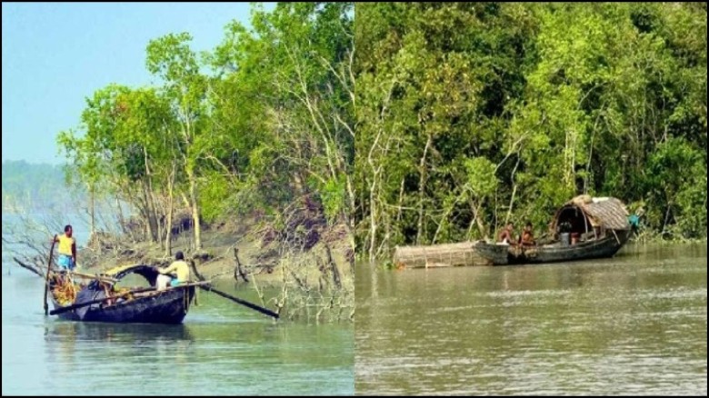 ছবির ক্যাপশন: .