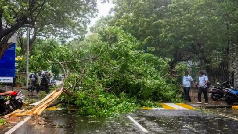 Severe Cyclone Arnab Hits Andhra Pradesh at Midnight, Winds 